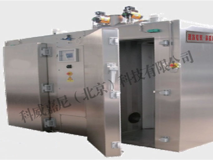 柜式雙開門速凍設(shè)備